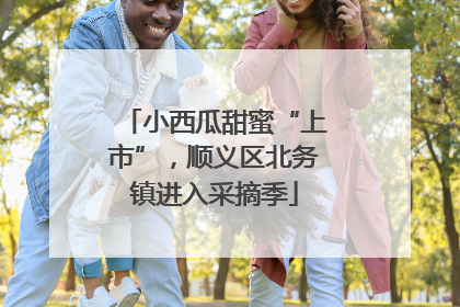 小西瓜甜蜜“上市”，顺义区北务镇进入采摘季