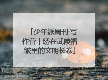 少年派周刊·写作营｜绣在武陵褶皱里的文明长卷