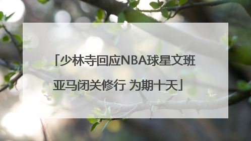 少林寺回应NBA球星文班亚马闭关修行 为期十天