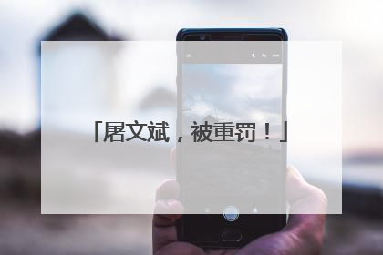 屠文斌，被重罚！