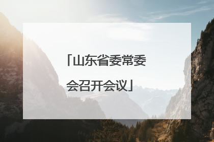 山东省委常委会召开会议