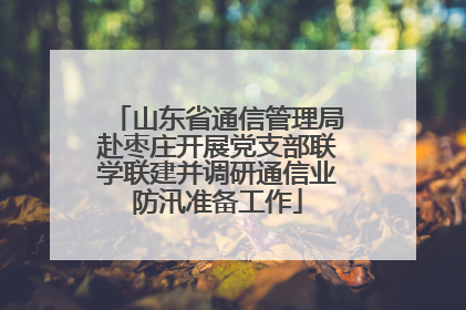 山东省通信管理局赴枣庄开展党支部联学联建并调研通信业防汛准备工作