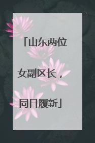 山东两位女副区长，同日履新