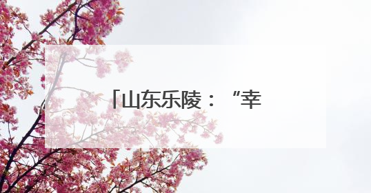 山东乐陵：“幸福市集”迎端午