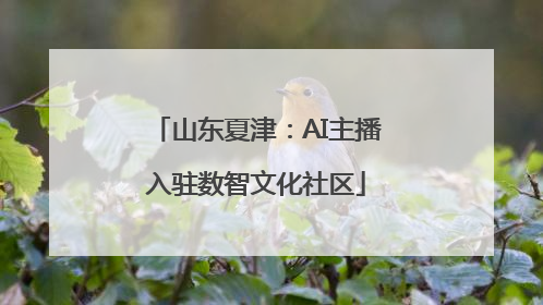 山东夏津：AI主播入驻数智文化社区