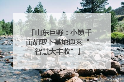 山东巨野：小镇千亩胡萝卜基地迎来“智慧大丰收”