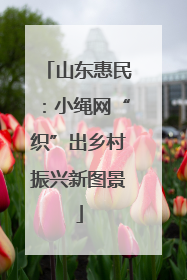 山东惠民：小绳网“织”出乡村振兴新图景