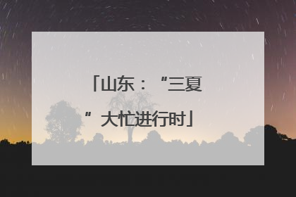 山东：“三夏”大忙进行时