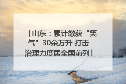 山东：累计缴获“笑气”30余万升 打击治理力度居全国前列