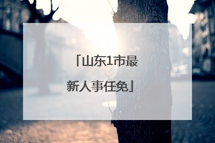 山东1市最新人事任免