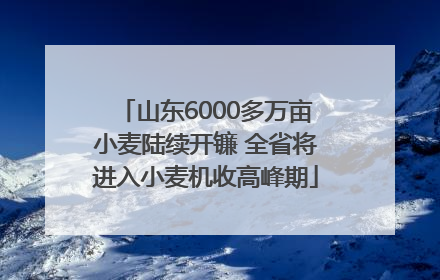 山东6000多万亩小麦陆续开镰 全省将进入小麦机收高峰期