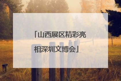 山西展区精彩亮相深圳文博会