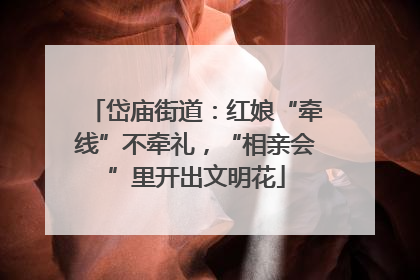 岱庙街道：红娘“牵线”不牵礼，“相亲会”里开出文明花