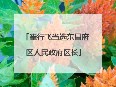 崔行飞当选东昌府区人民政府区长