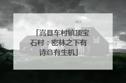 嵩县车村镇顶宝石村：密林之下有诗意有生机