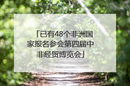 已有48个非洲国家报名参会第四届中非经贸博览会