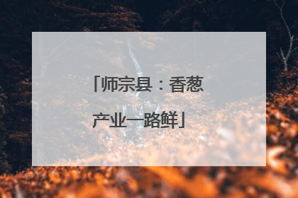 师宗县：香葱产业一路鲜