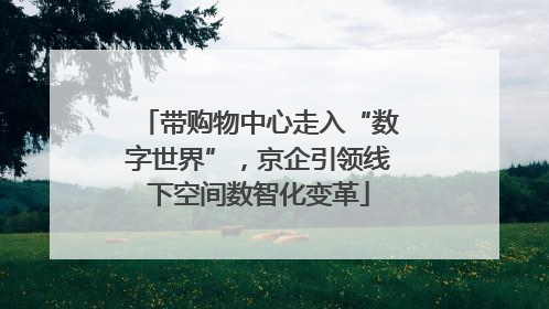 带购物中心走入“数字世界”，京企引领线下空间数智化变革