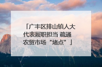 广丰区排山镇人大代表履职担当 疏通农贸市场“堵点”