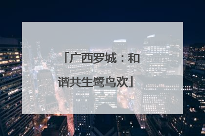 广西罗城：和谐共生鹭鸟欢