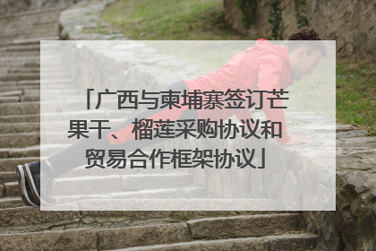 广西与柬埔寨签订芒果干、榴莲采购协议和贸易合作框架协议