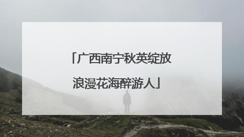 广西南宁秋英绽放 浪漫花海醉游人