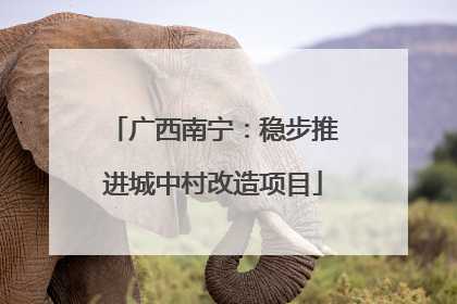 广西南宁：稳步推进城中村改造项目