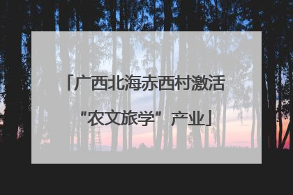 广西北海赤西村激活“农文旅学”产业