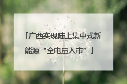 广西实现陆上集中式新能源“全电量入市”