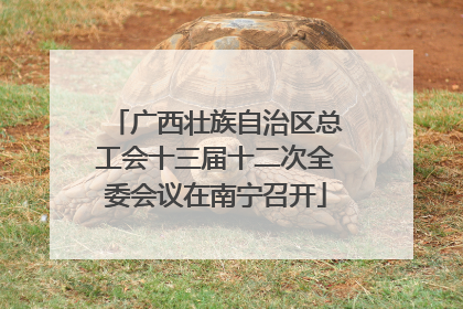 广西壮族自治区总工会十三届十二次全委会议在南宁召开