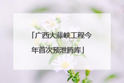 广西大藤峡工程今年首次预泄腾库