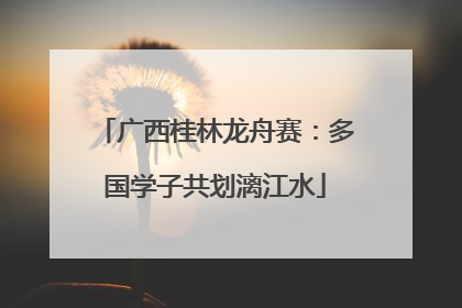 广西桂林龙舟赛：多国学子共划漓江水