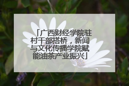 广西财经学院驻村干部搭桥，新闻与文化传播学院赋能油茶产业振兴
