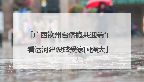 广西钦州台侨胞共迎端午 看运河建设感受家国强大