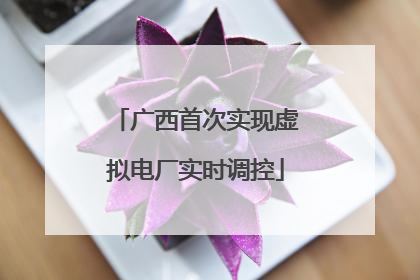 广西首次实现虚拟电厂实时调控