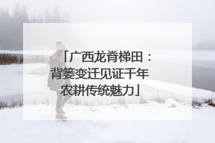 广西龙脊梯田：背篓变迁见证千年农耕传统魅力
