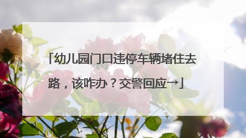 幼儿园门口违停车辆堵住去路，该咋办？交警回应→