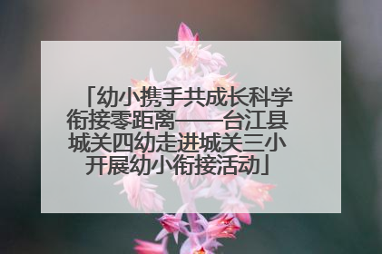 幼小携手共成长科学衔接零距离——台江县城关四幼走进城关三小开展幼小衔接活动