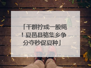 干群拧成一股绳！夏邑县骆集乡争分夺秒促夏种