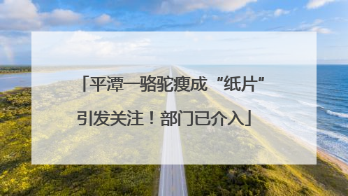 平潭一骆驼瘦成“纸片”引发关注！部门已介入