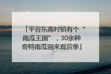 平谷东高村镇有个“南瓜王国”，30余种奇特南瓜迎来观赏季