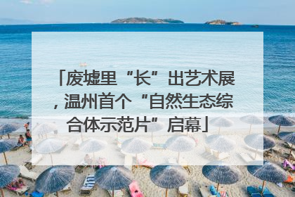 废墟里“长”出艺术展，温州首个“自然生态综合体示范片”启幕