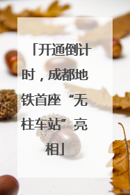 开通倒计时，成都地铁首座“无柱车站”亮相