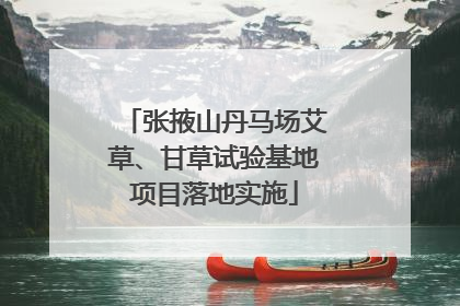张掖山丹马场艾草、甘草试验基地项目落地实施