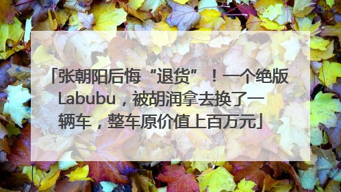 张朝阳后悔“退货”！一个绝版Labubu，被胡润拿去换了一辆车，整车原价值上百万元