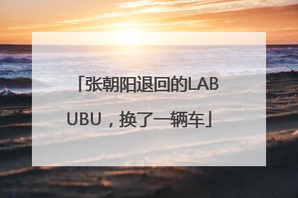 张朝阳退回的LABUBU，换了一辆车