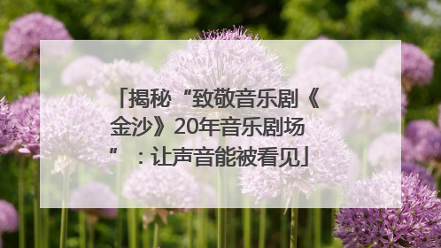揭秘“致敬音乐剧《金沙》20年音乐剧场”：让声音能被看见