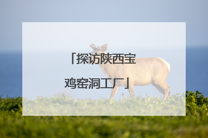 探访陕西宝鸡窑洞工厂