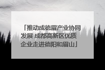 推动成德眉产业协同发展 成都高新区优质企业走进德阳和眉山