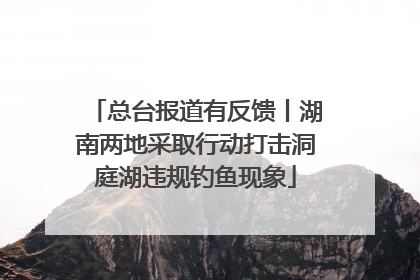 总台报道有反馈丨湖南两地采取行动打击洞庭湖违规钓鱼现象